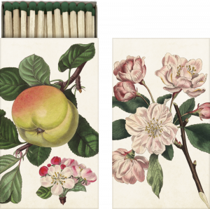 Streichholzschachtel Motiv Apfel